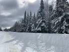 1 - Terrain et terre à vendre, Petite-Rivière-Saint-François (Code - pr762, Charlevoix)