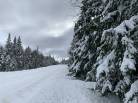 2 - Terrain et terre à vendre, Petite-Rivière-Saint-François (Code - pr762, Charlevoix)