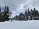 3 - Terrain et terre à vendre, Petite-Rivière-Saint-François (Code - pr762, Charlevoix)
