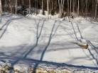 2 - Lot and land for sale, Baie-Saint-Paul (Code - sp916, Charlevoix)