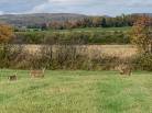 1 - Ferme à vendre, Baie-Saint-Paul (Code - sp819, Charlevoix)