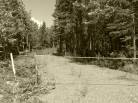 1 - Lot and land for sale, Petite-Rivière-Saint-François (Code - pr858, Charlevoix)
