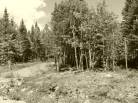 2 - Lot and land for sale, Petite-Rivière-Saint-François (Code - pr858, Charlevoix)