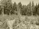 4 - Lot and land for sale, Petite-Rivière-Saint-François (Code - pr858, Charlevoix)