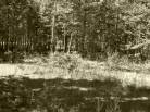 5 - Lot and land for sale, Petite-Rivière-Saint-François (Code - pr858, Charlevoix)