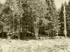 6 - Lot and land for sale, Petite-Rivière-Saint-François (Code - pr858, Charlevoix)