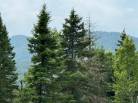 2 - Terrain et terre à vendre, Les Éboulements (Code - eb293, Charlevoix)