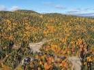 1 - Terrain et terre à vendre, Petite-Rivière-Saint-François (Code - pr867, Charlevoix)