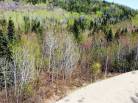 2 - Lot and land for sale, Petite-Rivière-Saint-François (Code - pr818, Charlevoix)