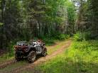 86 - House for sale, Baie-Saint-Paul (Code - sp932, Charlevoix)