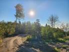 3 - Terrain et terre à vendre, Les Éboulements (Code - eb335, Charlevoix)