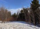 2 - Terrain et terre à vendre, Petite-Rivière-Saint-François (Code - pr802, Charlevoix)