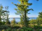 5 - Terrain et terre à vendre, Les Éboulements (Code - eb334, Charlevoix)