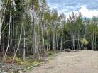 3 - Terrain et terre à vendre, Petite-Rivière-Saint-François (Code - pr816, Charlevoix)
