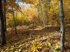 6 - Terrain et terre à vendre, Baie-Saint-Paul (Code - sp883, Charlevoix)