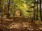 7 - Terrain et terre à vendre, Baie-Saint-Paul (Code - sp883, Charlevoix)