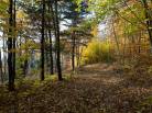 8 - Terrain et terre à vendre, Baie-Saint-Paul (Code - sp883, Charlevoix)