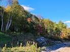 7 - Terrain et terre à vendre, Baie-Saint-Paul (Code - sp841, Charlevoix)