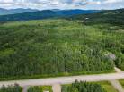 3 - Terrain et terre à vendre, La Malbaie (Code - mb397, Charlevoix)