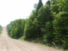 1 - Terrain et terre à vendre, Petite-Rivière-Saint-François (Code - pr814, Charlevoix)