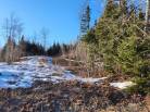 11 - Terrain et terre à vendre, Les Éboulements (Code - eb284, Charlevoix)