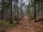11 - Terrain et terre à vendre, Baie-Saint-Paul (Code - sp826, Charlevoix)