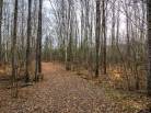 21 - Terrain et terre à vendre, Baie-Saint-Paul (Code - sp826, Charlevoix)