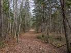 32 - Terrain et terre à vendre, Baie-Saint-Paul (Code - sp826, Charlevoix)