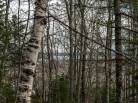 4 - Terrain et terre à vendre, Baie-Saint-Paul (Code - sp826, Charlevoix)