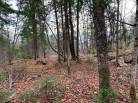 1 - Lot and land for sale, Petite-Rivière-Saint-François (Code - pr817, Charlevoix)