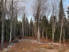 1 - Terrain et terre à vendre, Petite-Rivière-Saint-François (Code - pr790, Charlevoix)