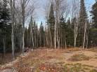 2 - Terrain et terre à vendre, Petite-Rivière-Saint-François (Code - pr790, Charlevoix)