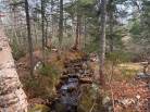 3 - Terrain et terre à vendre, Petite-Rivière-Saint-François (Code - pr790, Charlevoix)