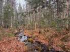 4 - Terrain et terre à vendre, Petite-Rivière-Saint-François (Code - pr790, Charlevoix)