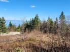 4 - Terrain et terre à vendre, Les Éboulements (Code - eb282, Charlevoix)