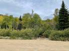 1 - Terrain et terre à vendre, Petite-Rivière-Saint-François (Code - pr795, Charlevoix)
