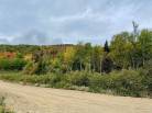 2 - Terrain et terre à vendre, Petite-Rivière-Saint-François (Code - pr795, Charlevoix)