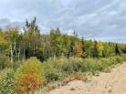3 - Terrain et terre à vendre, Petite-Rivière-Saint-François (Code - pr795, Charlevoix)