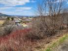 9 - Terrain et terre à vendre, Baie-Saint-Paul (Code - sp851, Charlevoix)