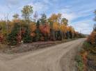 2 - Lot and land for sale, Petite-Rivière-Saint-François (Code - pr864, Charlevoix)