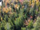 3 - Terrain et terre à vendre, Petite-Rivière-Saint-François (Code - pr805, Charlevoix)