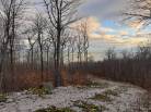 2 - Terrain et terre à vendre, Petite-Rivière-Saint-François (Code - pr789, Charlevoix)