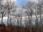 6 - Terrain et terre à vendre, Petite-Rivière-Saint-François (Code - pr789, Charlevoix)