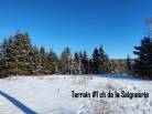 1 - Terrain et terre à vendre, Les Éboulements (Code - eb303, Charlevoix)