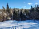 2 - Terrain et terre à vendre, Les Éboulements (Code - eb303, Charlevoix)