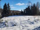 8 - Terrain et terre à vendre, Les Éboulements (Code - eb303, Charlevoix)