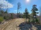 4 - Terrain et terre à vendre, Les Éboulements (Code - eb290, Charlevoix)