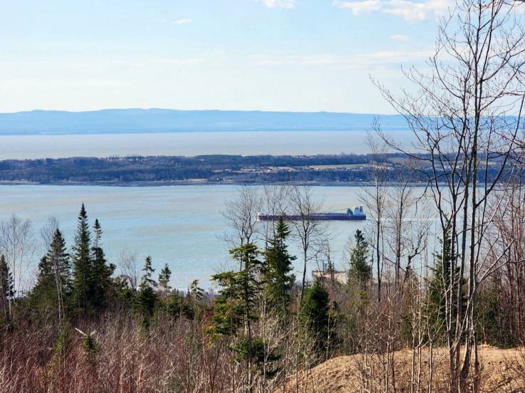 Terrain et terre à vendre - Les Éboulements, Charlevoix (EB335)