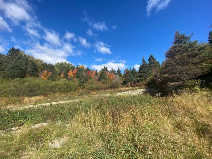 Lot and land for sale - Saint-Siméon, Charlevoix (SS072)