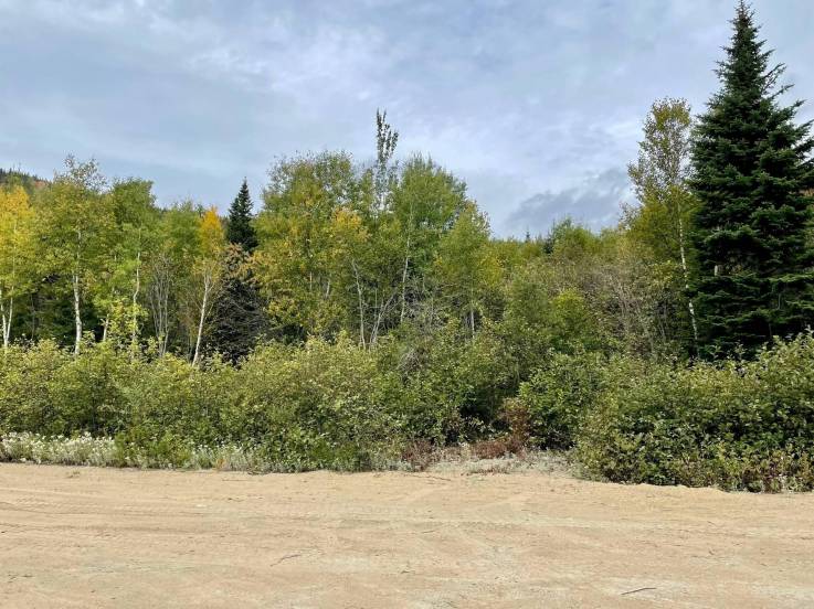 Terrain et terre à vendre - Petite-Rivière-Saint-François, Charlevoix (PR825)
